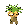 Noadkoko