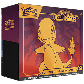 Coffret Dresseur d'Élite (ETB) 